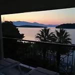 Palm Trees * Nidhrion