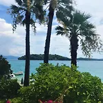Palm Trees * Nidhrion