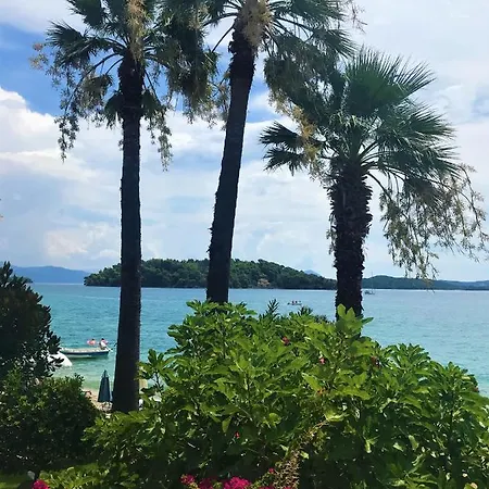 Palm Trees * Nydri (Lefkada)