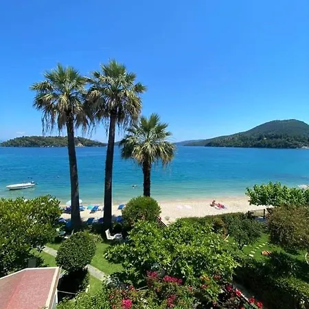 Palm Trees * Nydri (Lefkada)